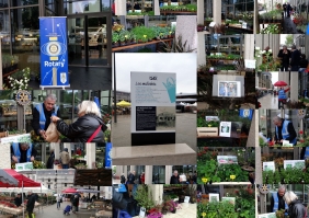 Vente de plants au profit des students marché de DAX 23 avril 2022